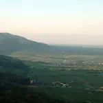 Πανσιόν Gaestehaus Palatinas