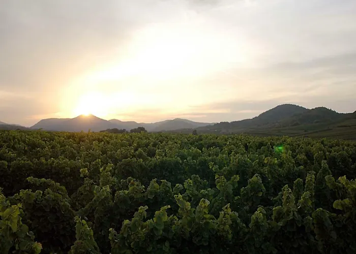 Gaestehaus Palatinas ゲストハウス