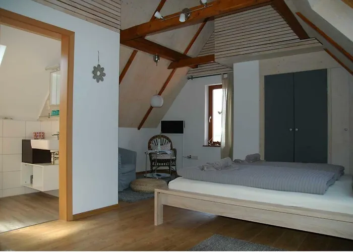 ゲストハウス Gaestehaus Palatinas 3*